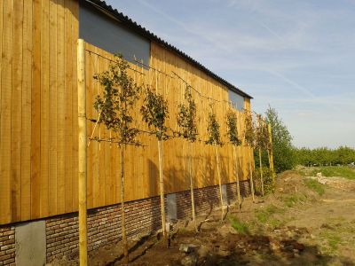 Gevelbekleding Hout