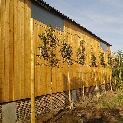 Gevelbekleding in hout