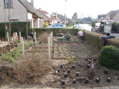 Aanplantingen3